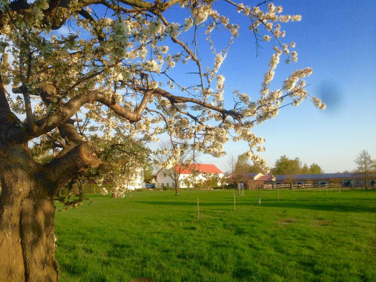 Ferienwohnung Zweinig 01 Esterno foto